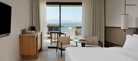 Deluxe Guest Room