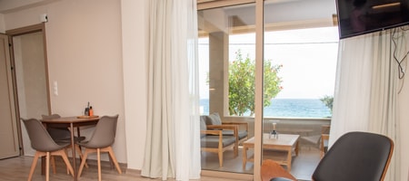 Deluxe Suite Ground Floor