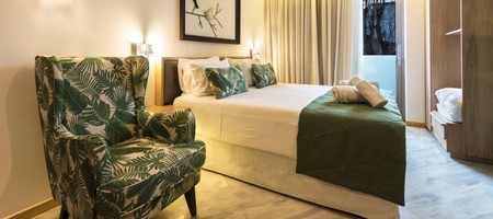 Superior Twin/Double Room [Ground floor]