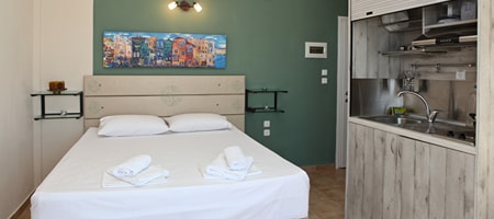 Standard Double Room SV/PV