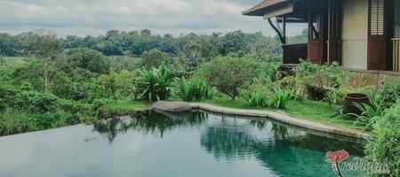 Villa Amaru