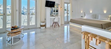 Penthouse Suite with Panoramic View