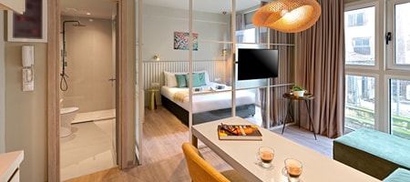 Deluxe One-Bedroom Apartment