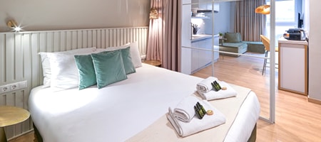 One-Bedroom Deluxe Apartment