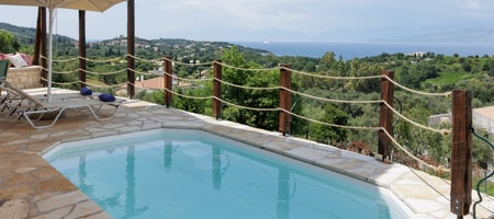 Dendrilia Suite