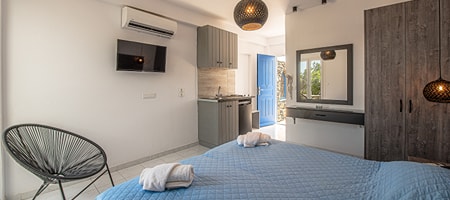 Studio Double Room with Terrace