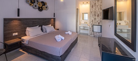 Double Room with Terrace