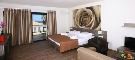 Executive Junior Suite