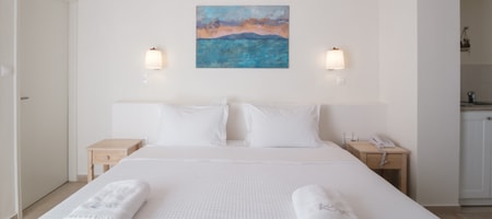 Studio Room with Mountain View
