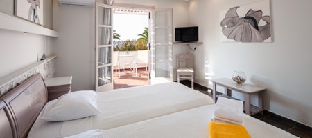Aegean Room with Terrace & Sea View