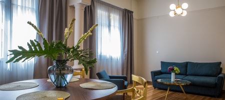 A Luminous High Ceilings Apartment B1