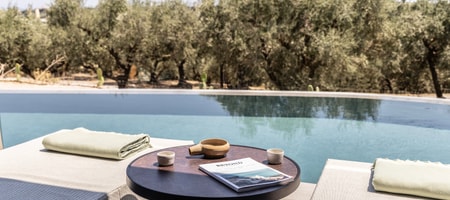 Deluxe Swim-up Suite