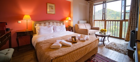 Suite with Mountain View