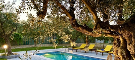 Olive Sense Villa