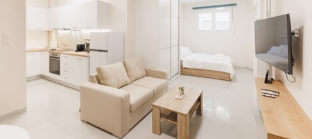 Fully renovated luxurious semi-basement studio