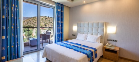 Standard Room with Mountain View