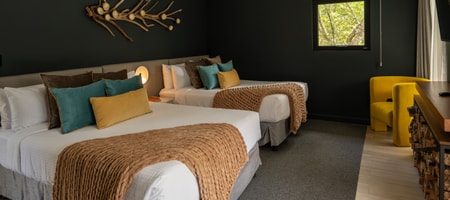 Forest Double Room