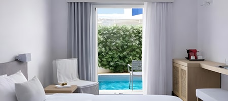 Double Room with Plunge Pool