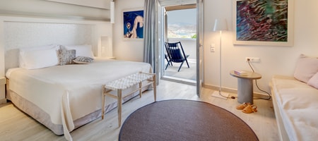 Double or Twin Sea view room