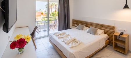 Superior Double or Twin Room with Pool View