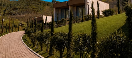 Superior Villa