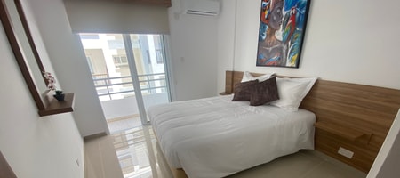 One Bedroom Apartment Suite 210 (with Kitchenette and Balcony)