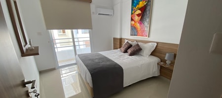 One Bedroom Apartment Suite 309 (with Kitchenette and Balcony)