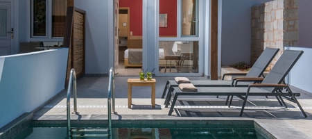 Standard Double Room with Individual Pool