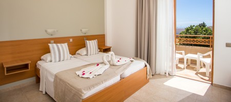 Double Standard Room