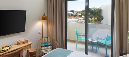 Deluxe Room Pool View