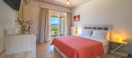 Delicate Double Room