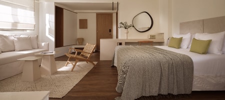 Premium Executive Suite