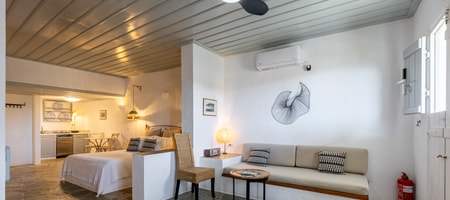 Suite Apartment without Loft