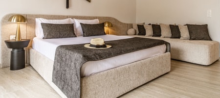 Deluxe Suite with King Size Bed -G3