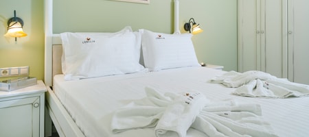 Deluxe Apartment 305