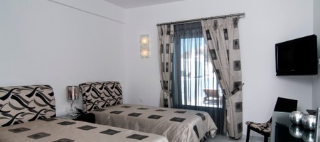 Deluxe Twin Room with Private Terrace