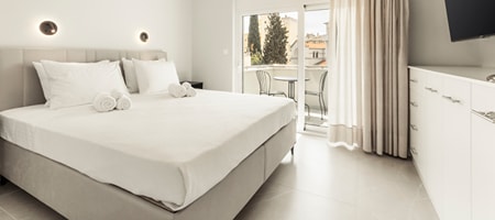 Deluxe One-Bedroom Apartment with City View