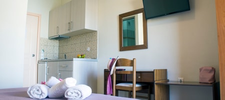 Standard Double room with Garden View