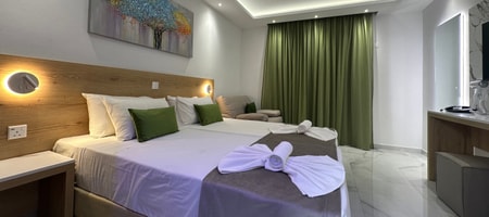 Superior Double/Twin Room