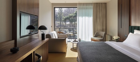 Deluxe Room with Mountain View