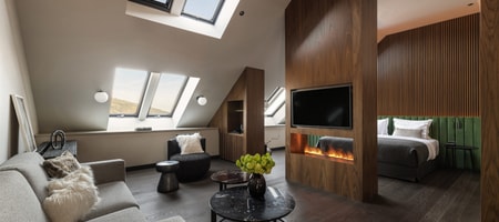 The Lynx Loft