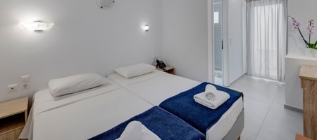 Standard Double Or Twin Room
