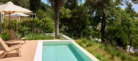 DeLuxe Plus Pool Suite