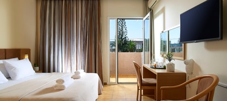 Standard Room - Annex