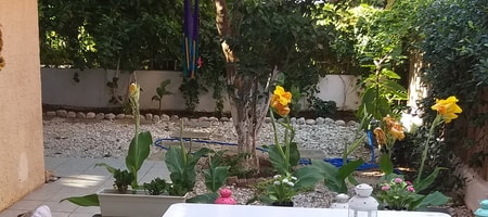 Green Studio | Garden View [22 m²]