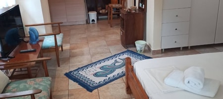 Turquoise Studio | Garden View [27 m²]