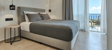 Deluxe Suite with King-size Bed