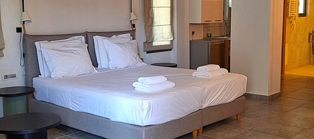 Deluxe Double Room Garden View-Disable Access