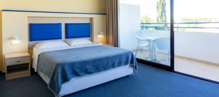 Standard Room Mountain View