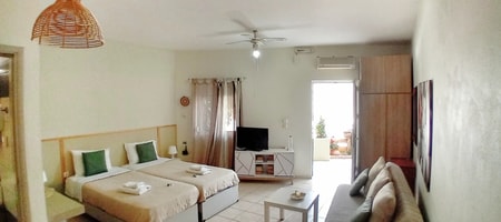Apartment with garden view